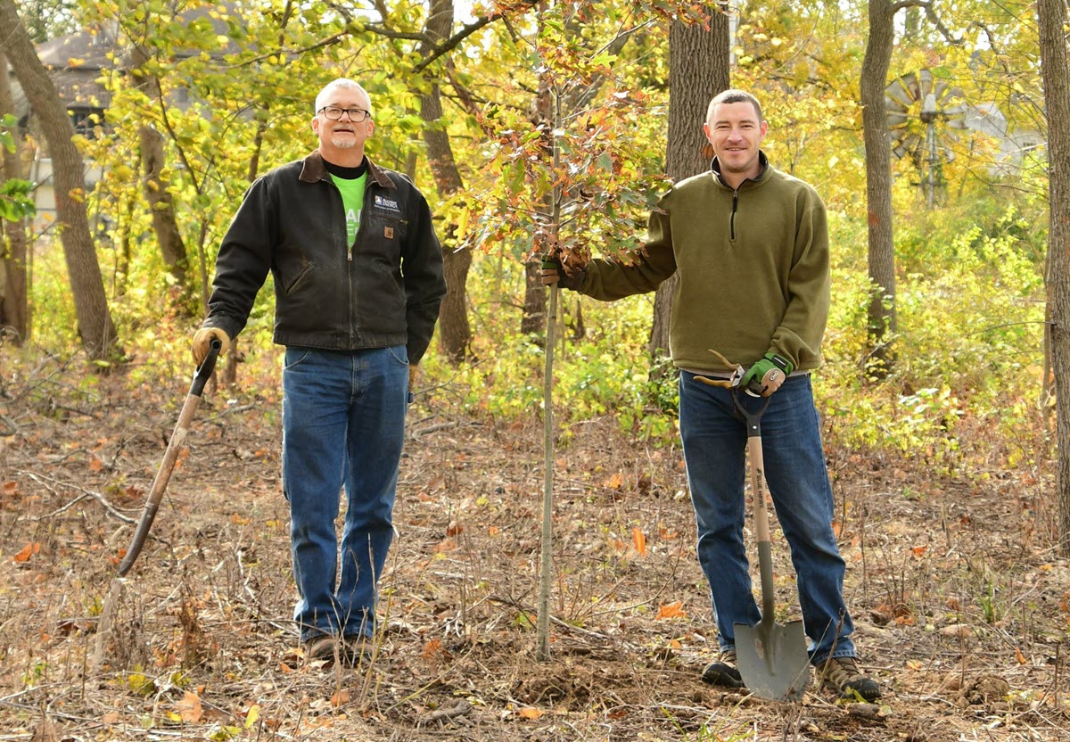 people planting trees