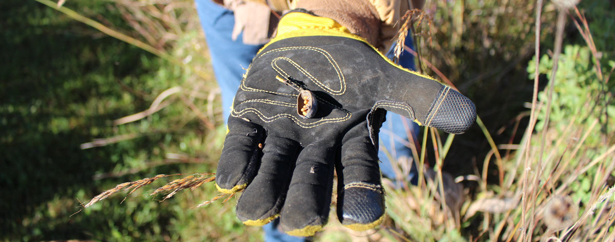 Man holding out a seed pod