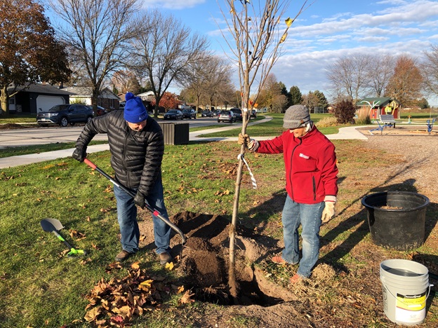 Alliant Energy - Foundation awards $70K to tree restoration in Sheboygan