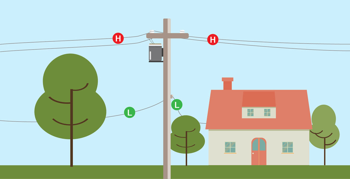 graphic of trees and power lines