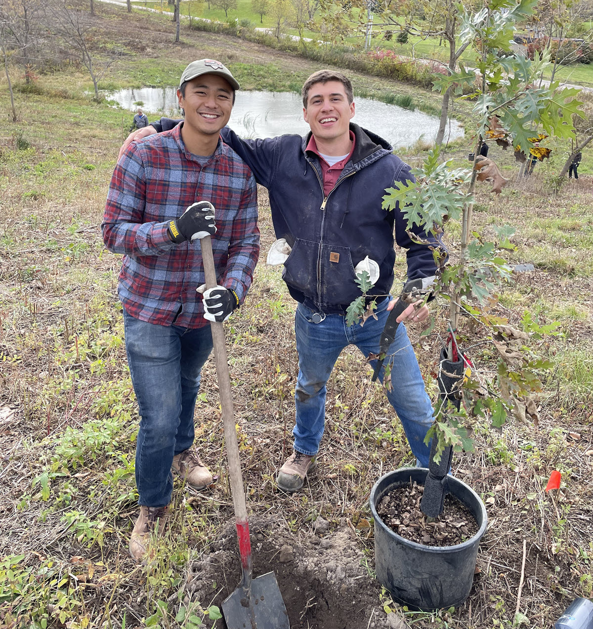 people planting trees